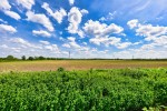 Images for Top Row, Stoke Bardolph, NG14