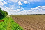Images for Top Row, Stoke Bardolph, NG14